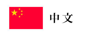 中文